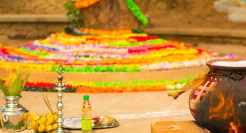 Hindu Communities Worldwide Celebrate Thai Pongal